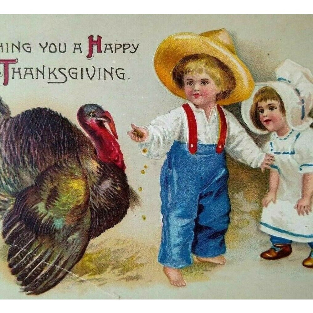 Thanksgiving Postcard Ellen Clapsaddle Unsigned Farmer Boy Feeds Turkey 1908